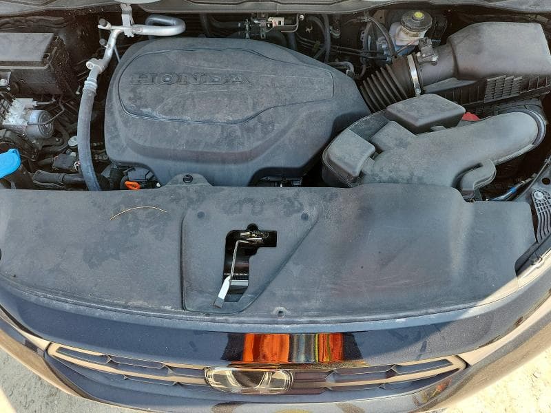 2025 HONDA ODYSSEY EXL 12