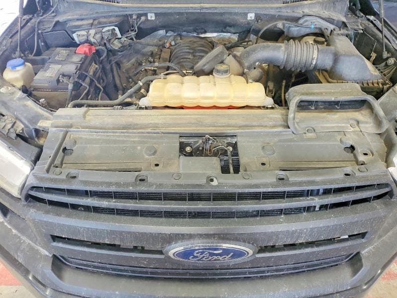 2019 FORD F150 11