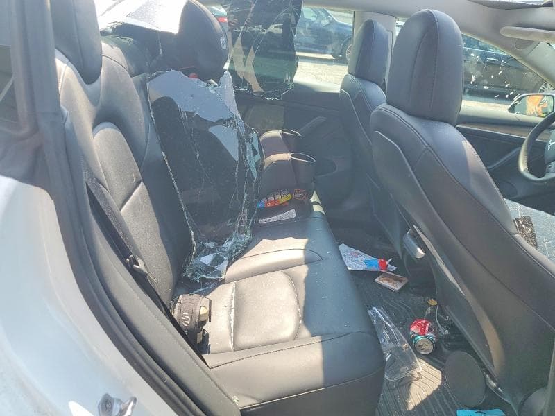 2023 TESLA MODEL 3 10