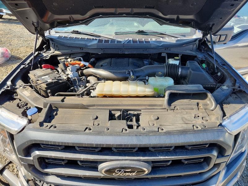 2021 FORD F150 SUPERCREW 11