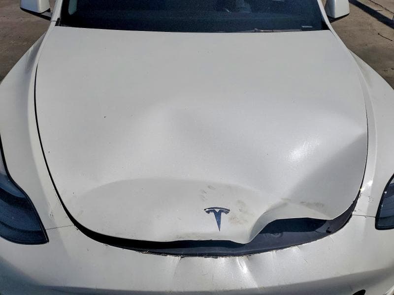 2022 TESLA MODEL Y 12