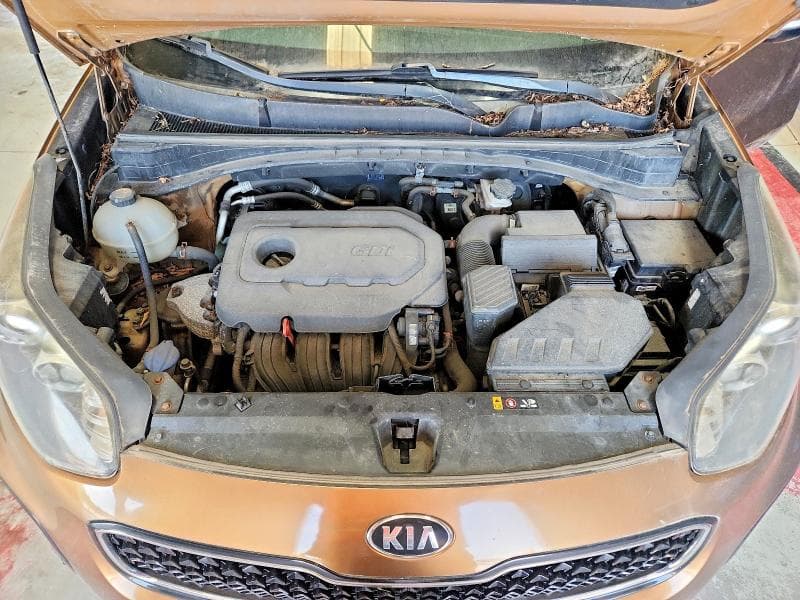 2017 KIA SPORTAGE EX 12