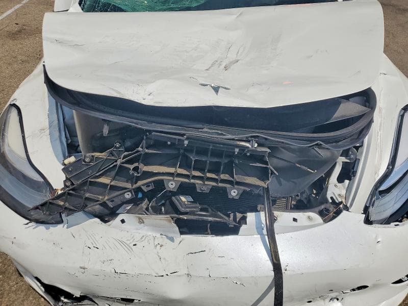2019 TESLA MODEL 3 11