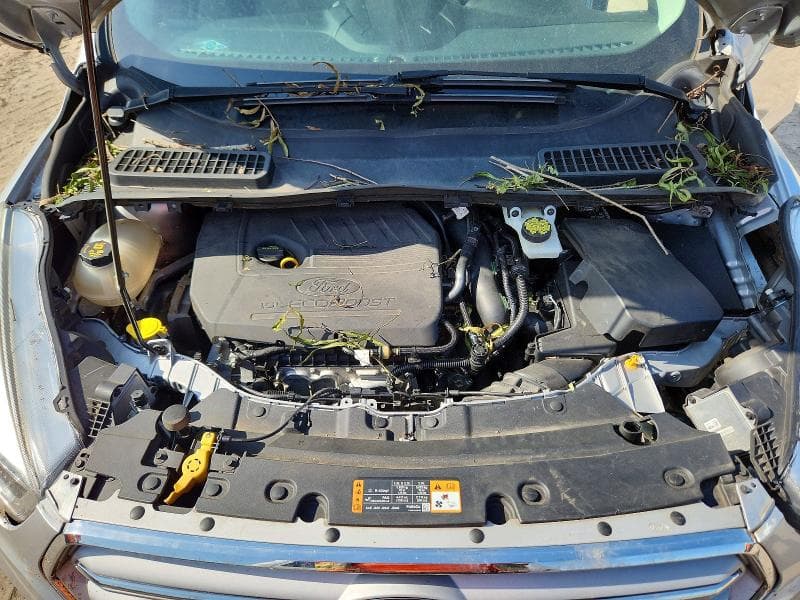2018 FORD ESCAPE SEL 12