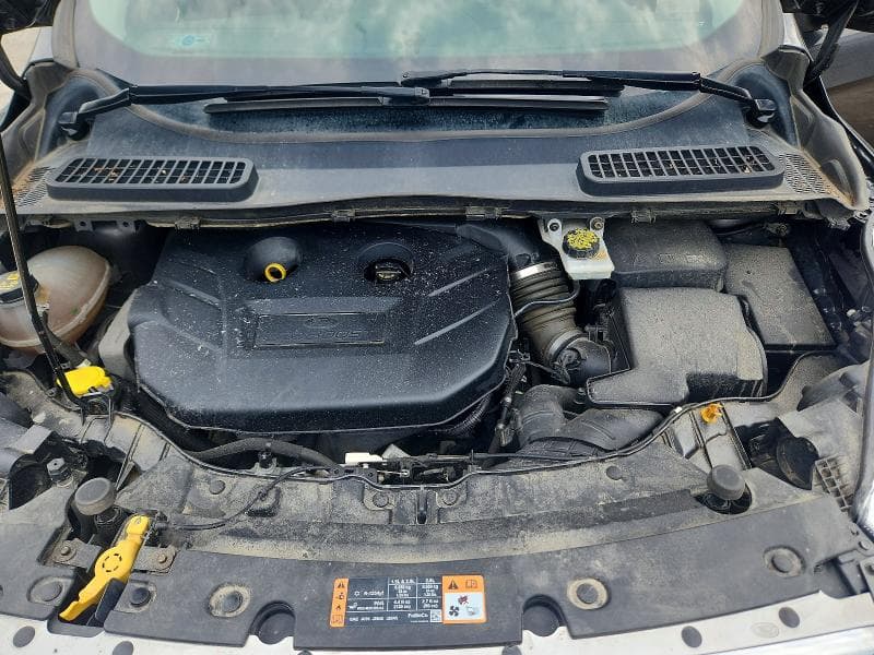 2017 FORD ESCAPE SE 12
