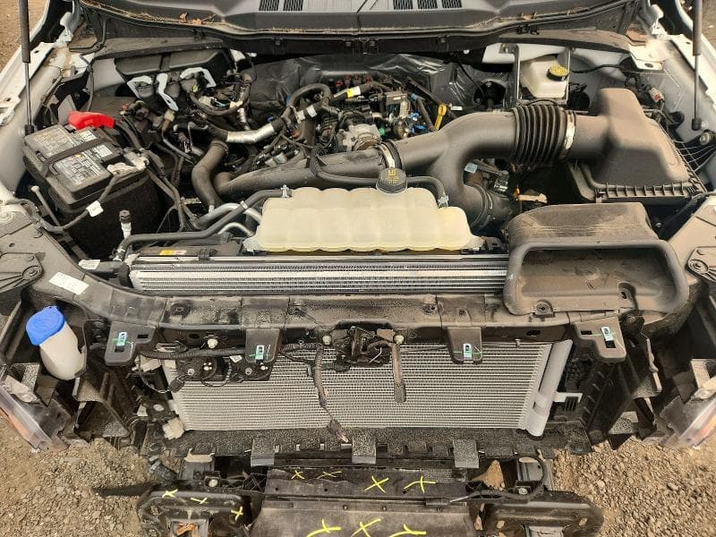 2025 FORD F150 XL 11