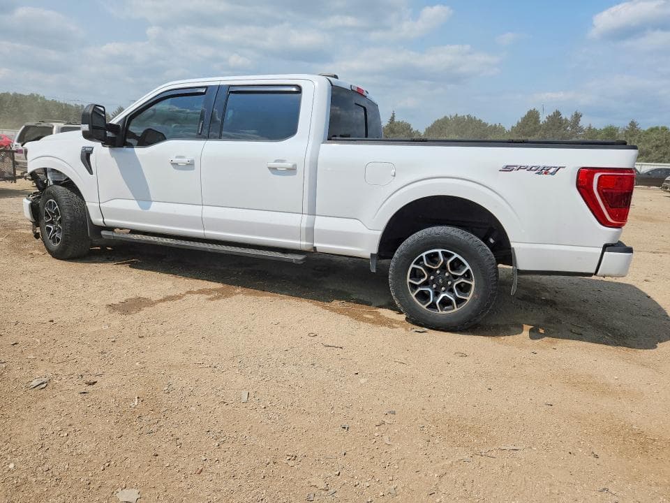 2023 FORD F150 SUPERCREW 2