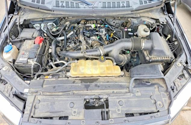 2019 FORD F150 SUPERCREW 11