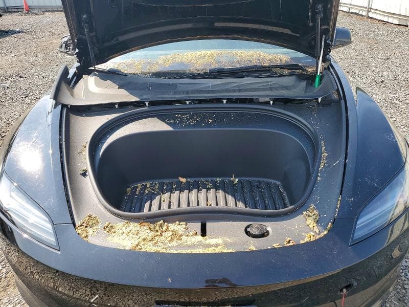 2024 TESLA MODEL 3 11