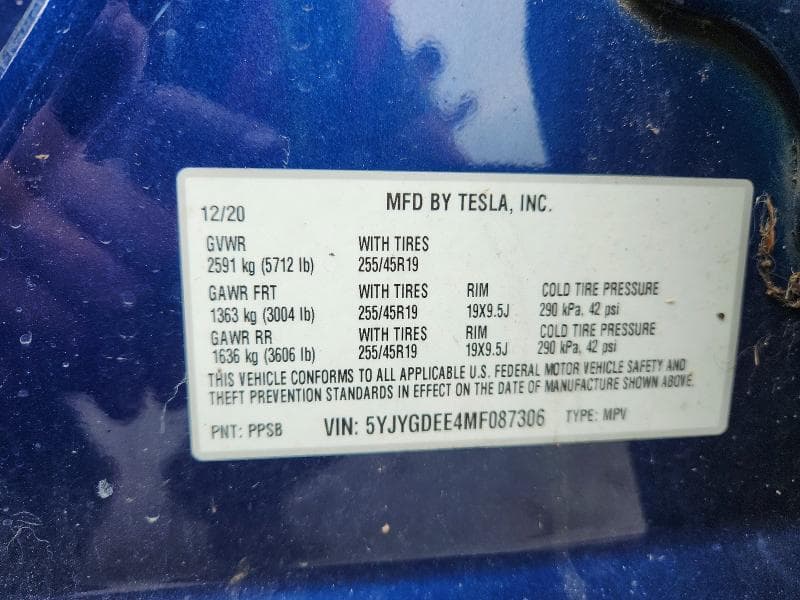 2021 TESLA MODEL Y 13