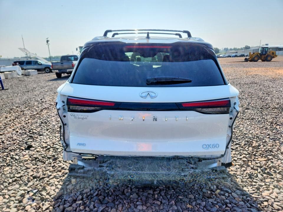 2024 INFINITI QX60 AUTOGRAPH 6