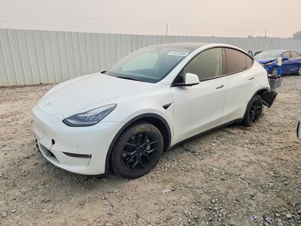 2021 TESLA MODEL Y - 1