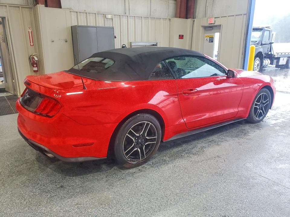 2019 FORD MUSTANG 3