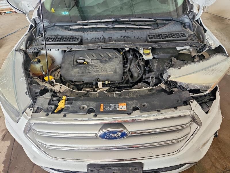 2017 FORD ESCAPE SE 12