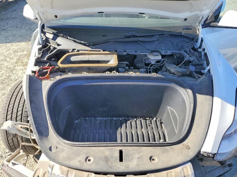 2020 TESLA MODEL Y 12