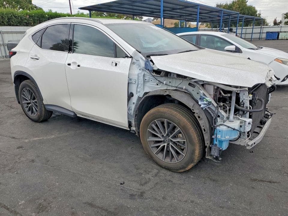 2024 LEXUS NX 350H PREMIUM 4