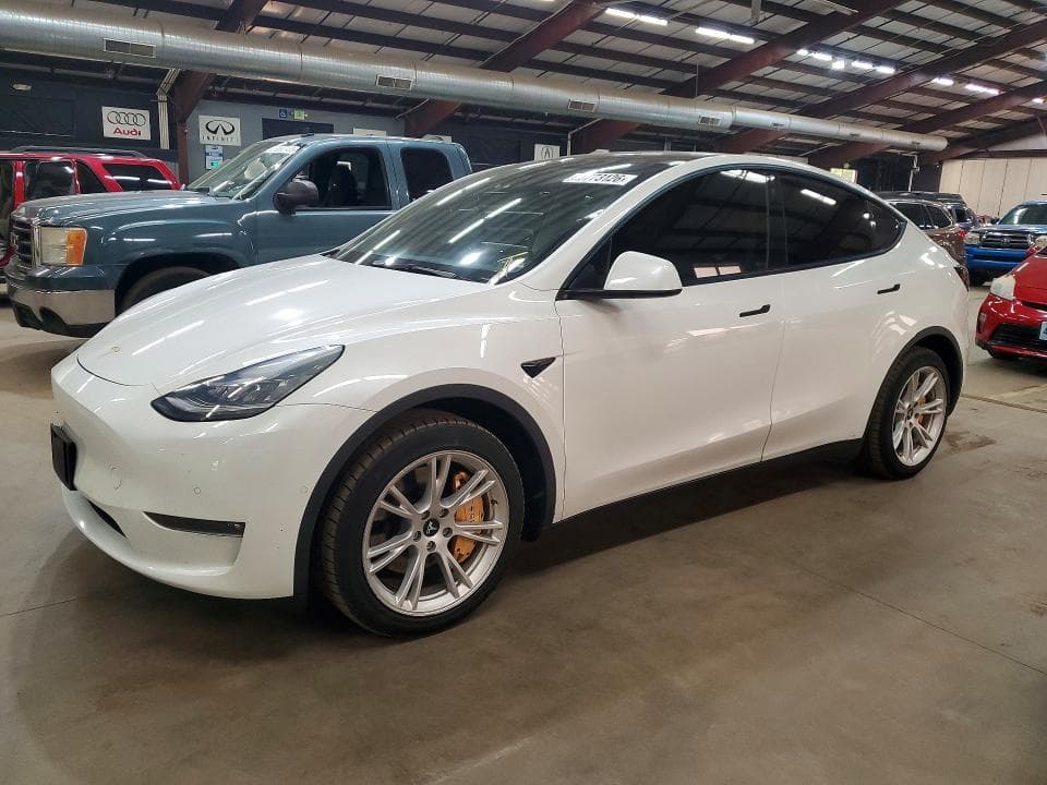 2021 TESLA MODEL Y - 1