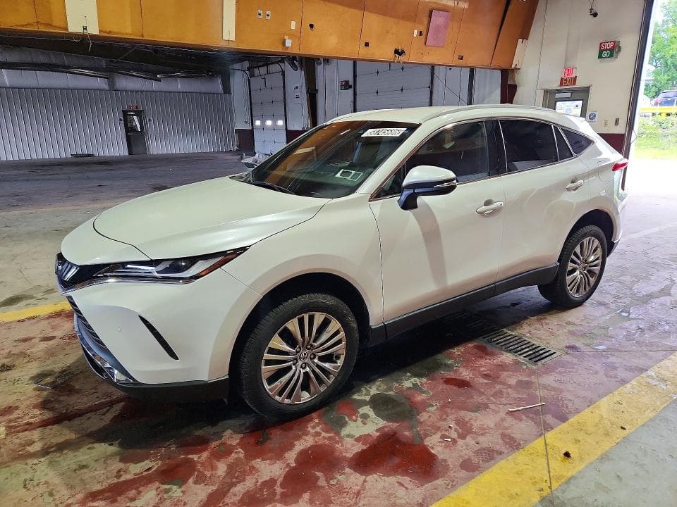 2024 TOYOTA VENZA XLE - 1