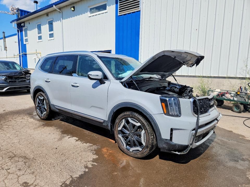 2024 KIA TELLURIDE EX 4