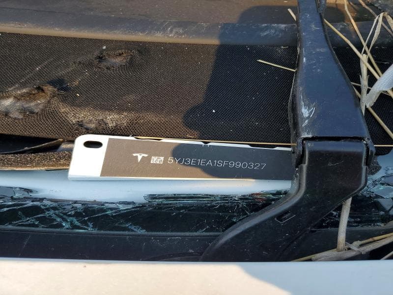 2025 TESLA MODEL 3 12