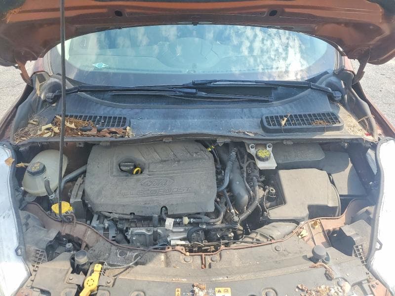 2017 FORD ESCAPE SE 12