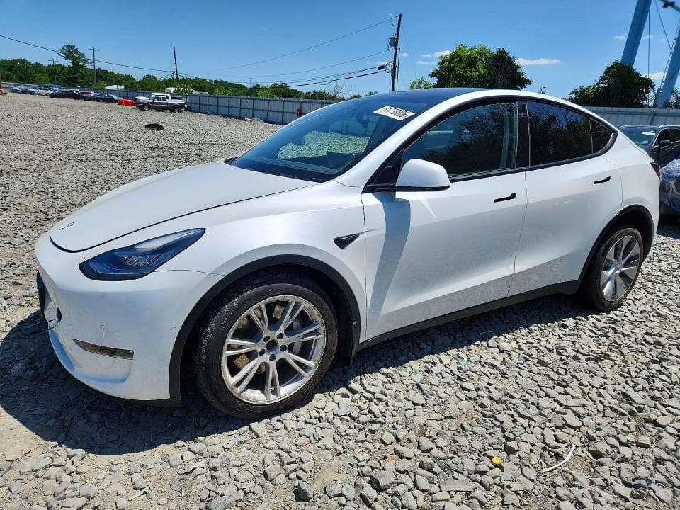 2021 TESLA MODEL Y - 1