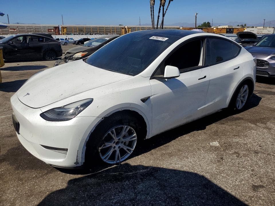 2021 TESLA MODEL Y - 1
