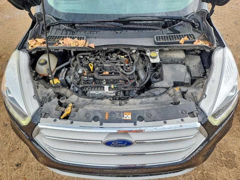 2019 FORD ESCAPE SEL 12