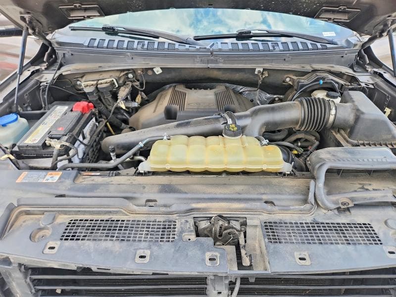 2019 FORD EXPEDITION MAX LIMITED 12