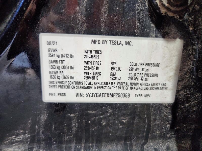 2021 TESLA MODEL Y 12