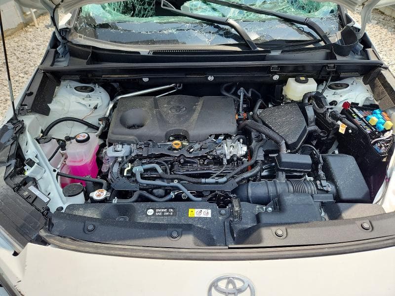2026 TOYOTA RAV4 XLE PREMIUM 12