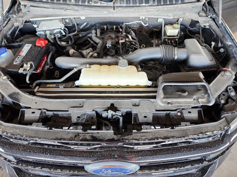 2024 FORD EXPEDITION MAX XLT 12