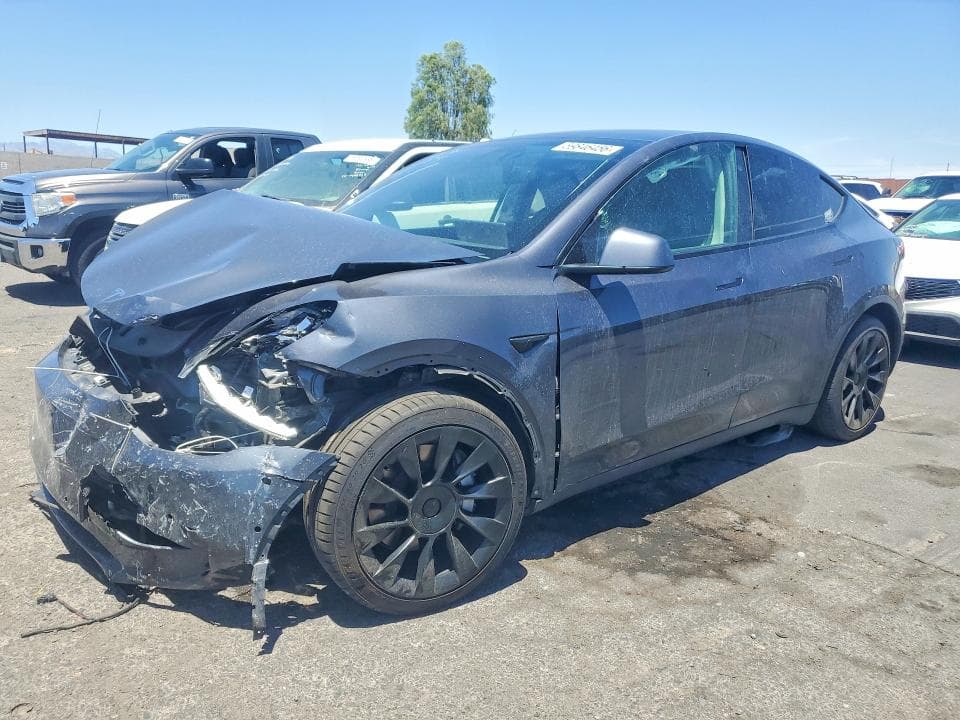2021 TESLA MODEL Y - 1