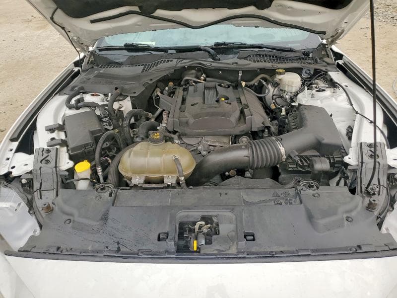 2019 FORD MUSTANG 11