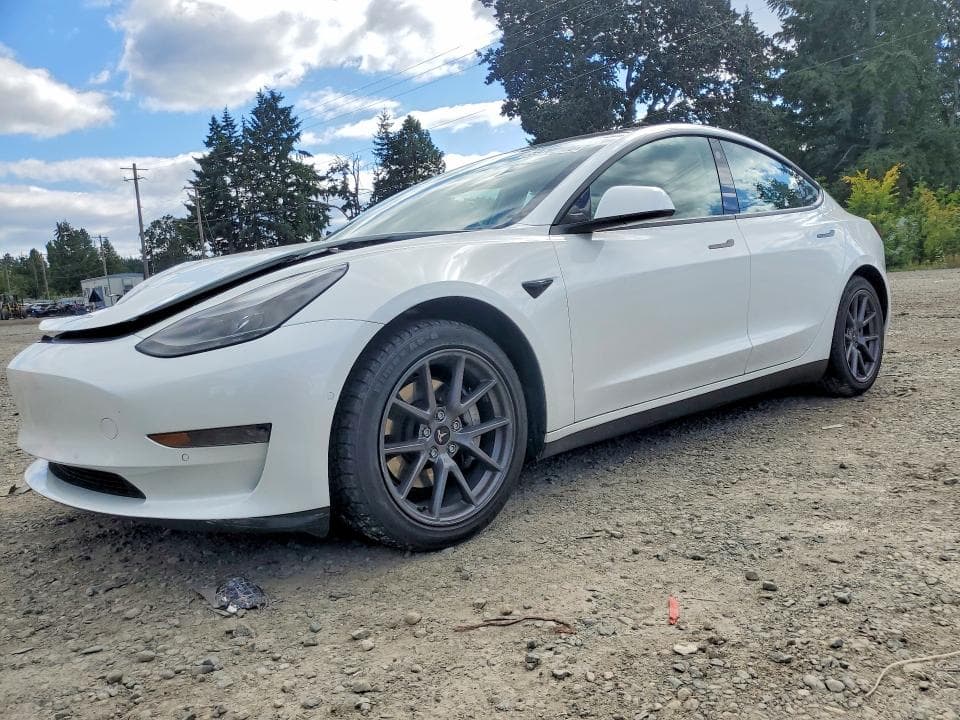 2021 TESLA MODEL 3 - 1