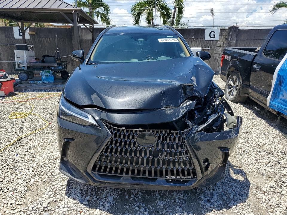 2025 LEXUS NX 250 BASE 5