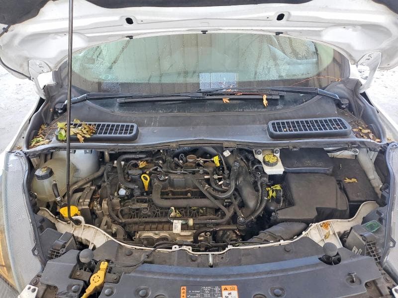 2019 FORD ESCAPE SE 11