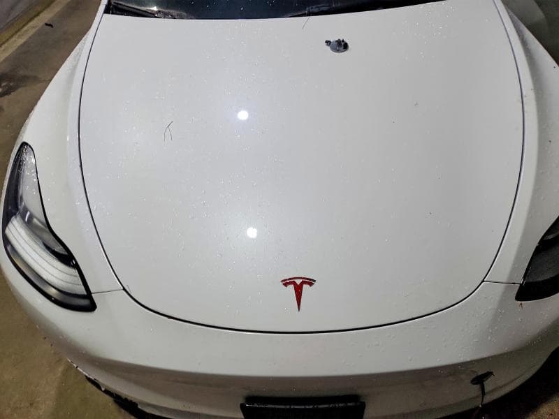 2021 TESLA MODEL Y 11