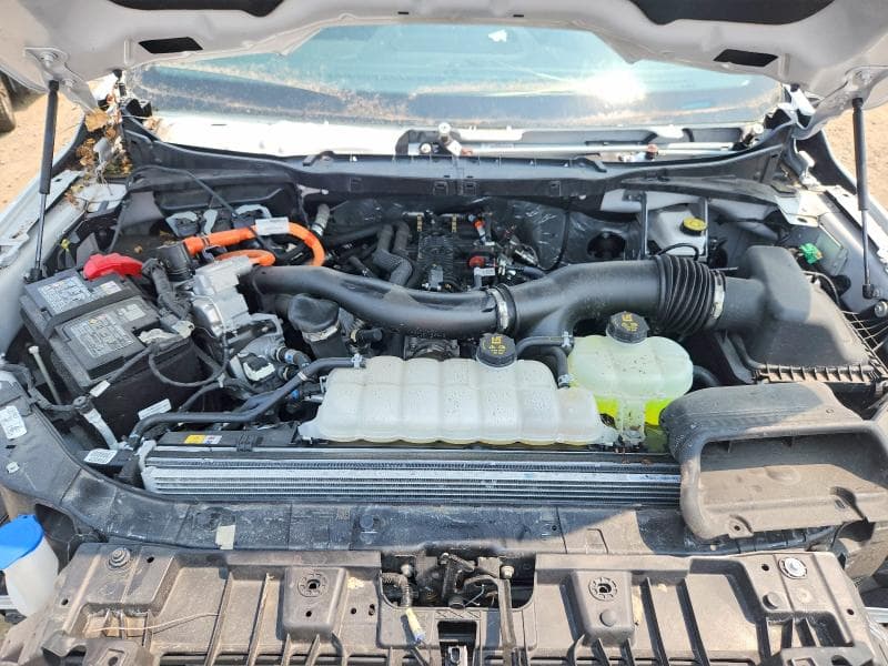 2025 FORD F150 XLT 11