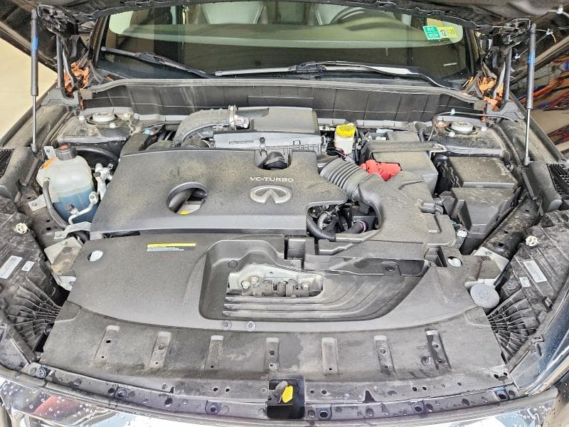 2023 INFINITI QX50 LUXE 12