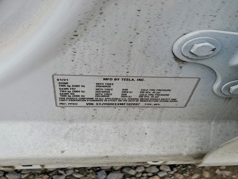 2021 TESLA MODEL Y 14