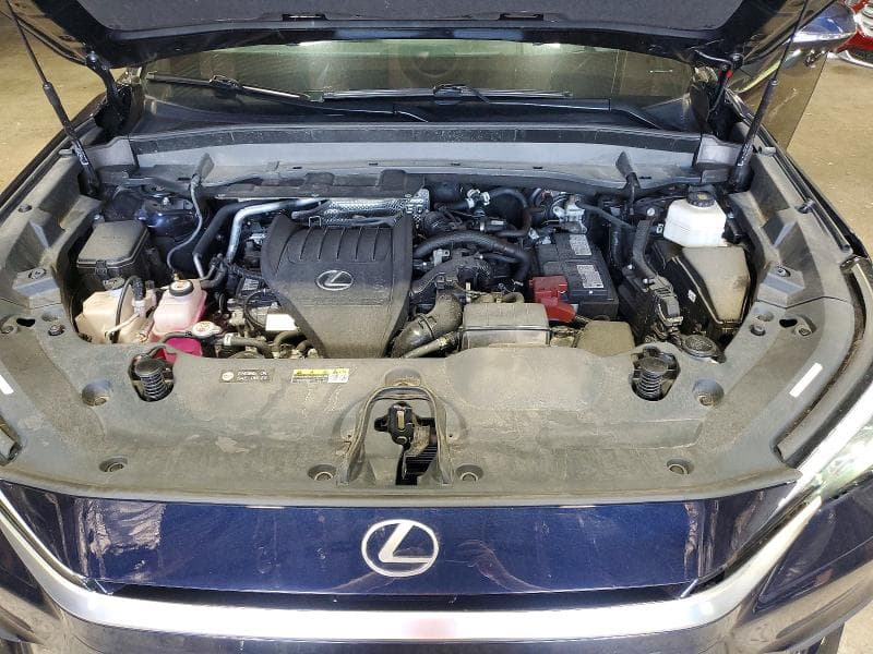 2024 LEXUS TX 350 LUXURY 12