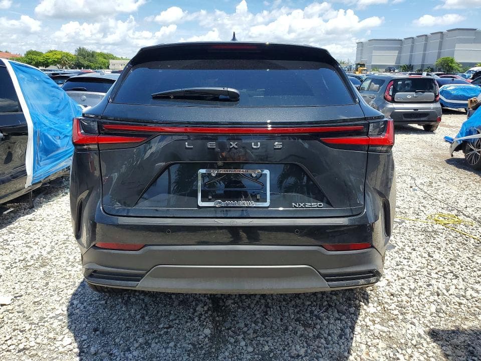 2025 LEXUS NX 250 BASE 6