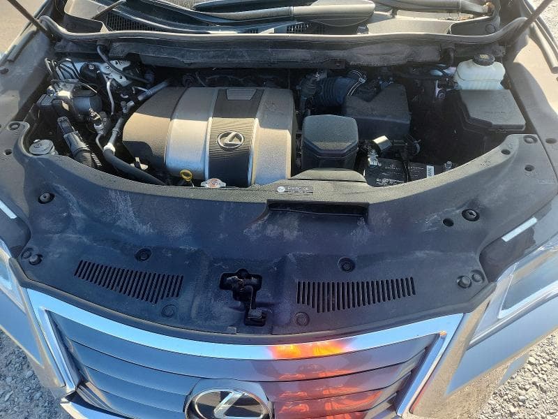2019 LEXUS RX 350 L 12