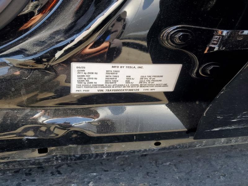 2026 TESLA MODEL Y 13