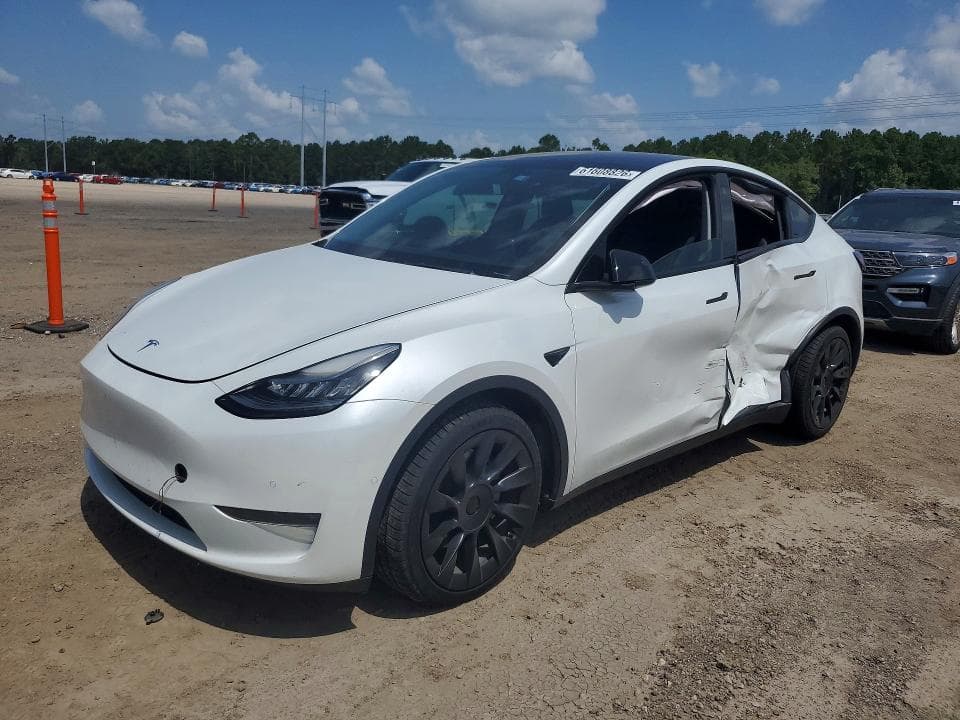 2021 TESLA MODEL Y - 1