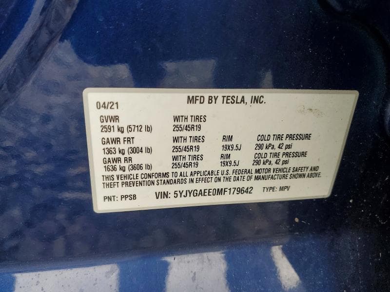 2021 TESLA MODEL Y 13