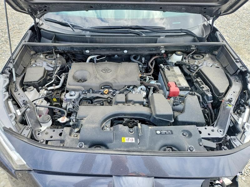 2024 TOYOTA RAV4 XLE PREMIUM 12
