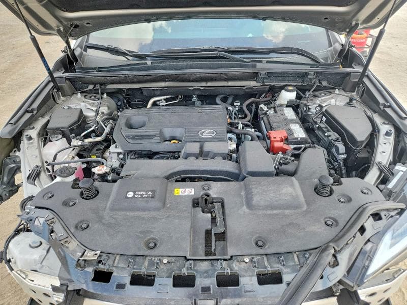 2025 LEXUS NX 250 BASE 12