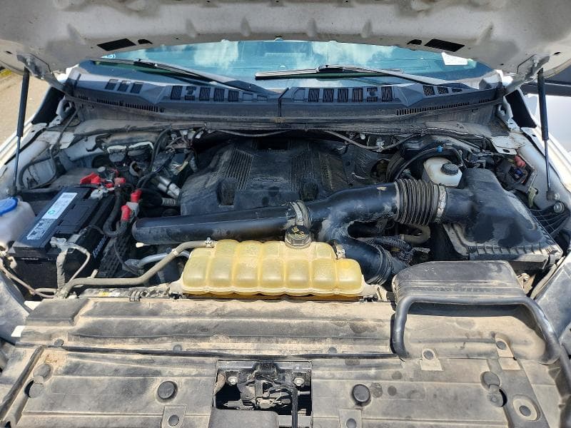 2019 FORD F150 11